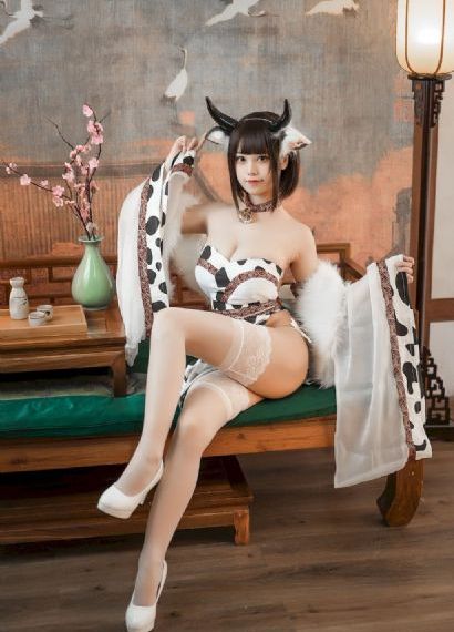 爱的骑士 电视剧