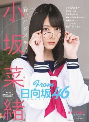 少年黄飞鸿 电视剧