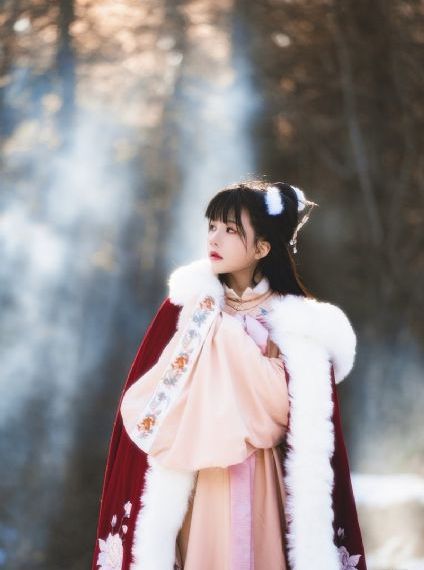 金瓶春梦