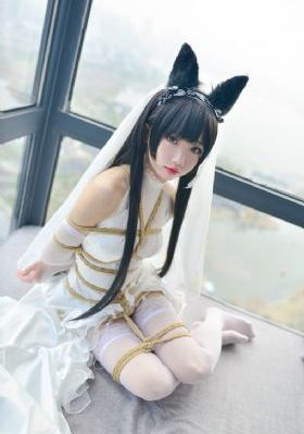 徐锦江 青楼十二房