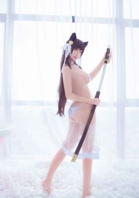 土匪电视剧大全免费观看